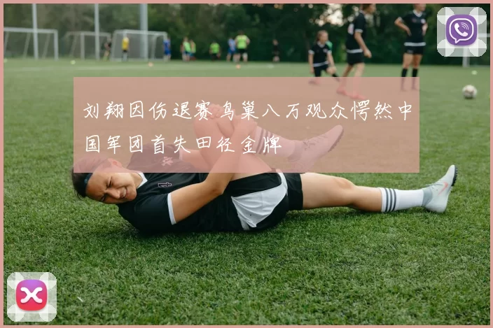 刘翔因伤退赛鸟巢八万观众愕然中国军团首失田径金牌