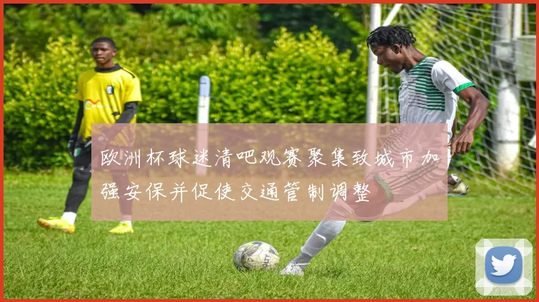 欧洲杯球迷清吧观赛聚集致城市加强安保并促使交通管制调整