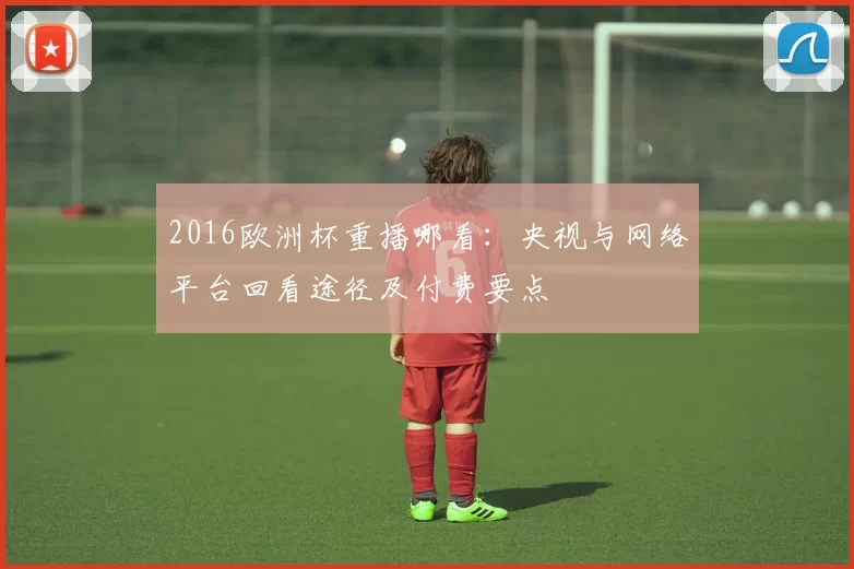 2016欧洲杯重播哪看：央视与网络平台回看途径及付费要点