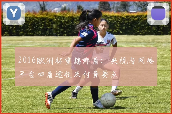 2016欧洲杯重播哪看：央视与网络平台回看途径及付费要点
